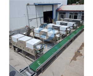 新疆核桃仁去皮機 都在用華邦機械核桃仁去衣機