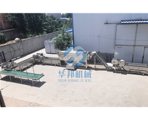 提供工藝 核桃仁脫衣機(jī)