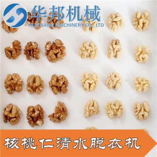 核桃仁去衣機 核桃仁去皮機 華邦機械