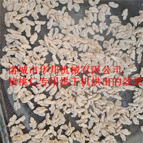 核桃仁專業(yè)烘干機 完全符合三只松鼠供貨標(biāo)準(zhǔn)