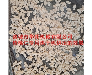 核桃仁專業(yè)烘干機 完全符合三只松鼠供貨標準