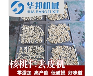 核桃仁脫皮機 自來水去皮 核桃仁去皮機供應商