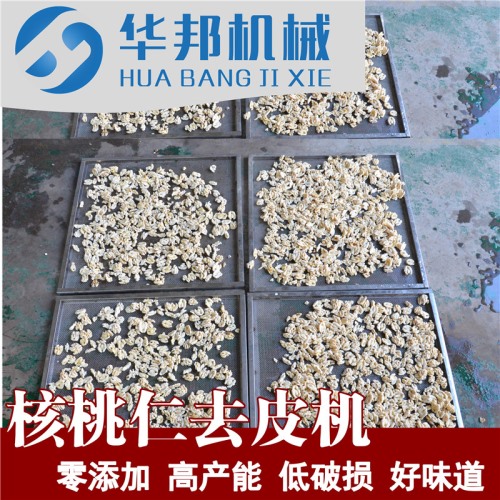 核桃仁脫皮機 自來水去皮 核桃仁去皮機供應(yīng)商
