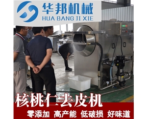 核桃仁去皮機 高壓噴淋沖洗去皮設備 核桃仁去皮的機器