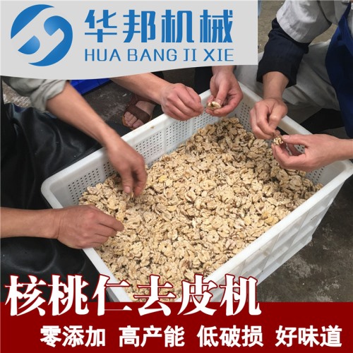 廠家直銷核桃仁去皮機  物理零堿脫皮機器