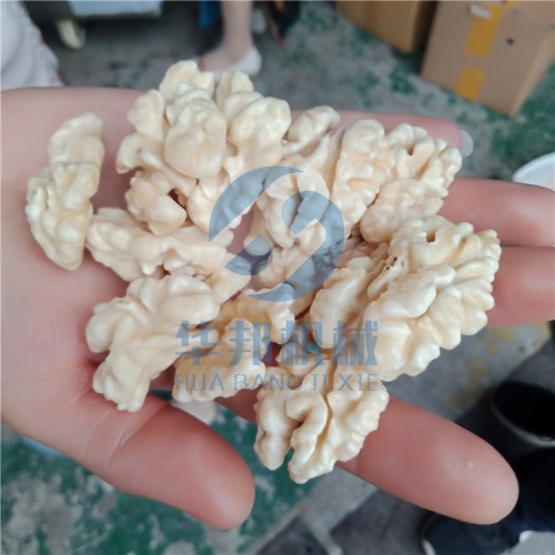 免費安裝 核桃仁去皮機(jī)