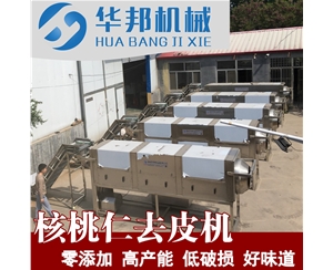 LN核桃仁去皮機 新疆核桃仁去皮機價格