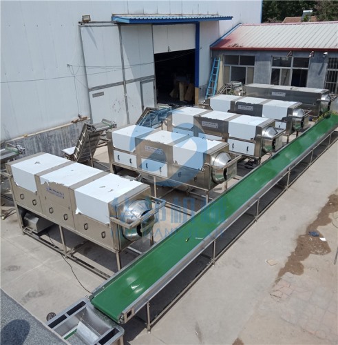 核桃仁去衣機  核桃乳核桃油生產(chǎn)設備