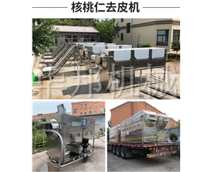 核桃仁去皮機(jī) 品種無(wú)限制