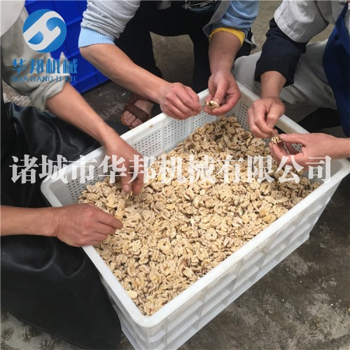 一級核桃仁去衣機(jī)