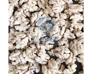 全自動(dòng) 核桃仁去皮流水線(xiàn)