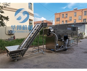 核桃仁去皮機(jī) 大型核桃仁去皮流水線(xiàn) 提供安裝