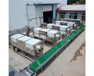 核桃仁脫衣機 華邦機械去衣核桃仁