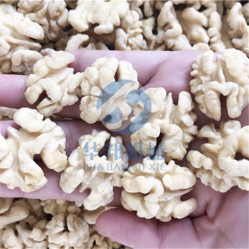 非化學(xué) 核桃仁去皮機