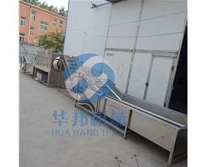 核桃仁脫衣生產線 核桃仁去皮機設備