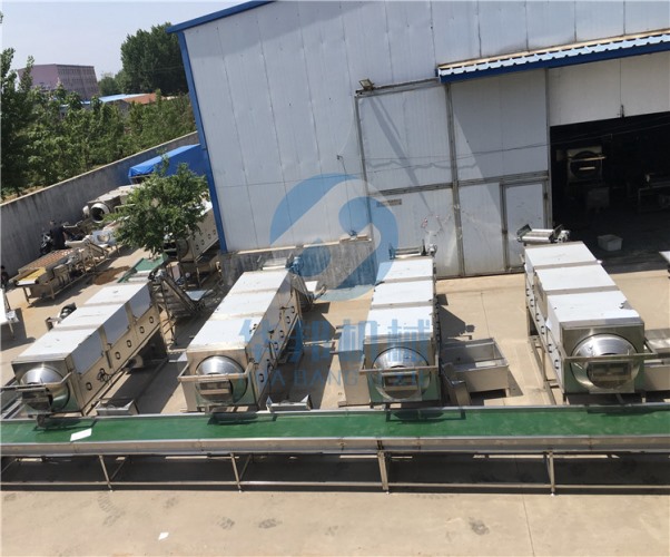 核桃仁去皮機(jī) (核桃仁脫皮機(jī))