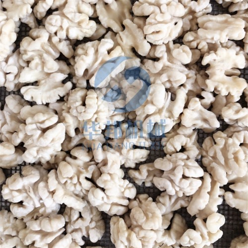 全自動(dòng) 核桃仁去皮機(jī)