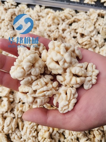 【果仁完整】核桃仁去皮機