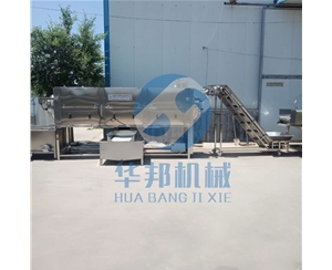 核桃仁去皮機 優(yōu)質核桃仁去皮設備