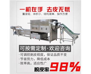 核桃仁去皮流水線(xiàn) 【物理】核桃仁去皮機(jī)