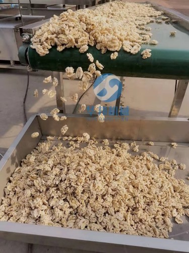 核桃仁去皮機 核桃仁去皮流水線 免費設(shè)計安裝