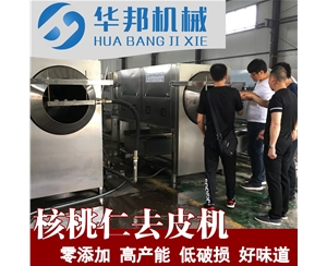 省人工核桃仁去皮機(jī) 皮仁自動分離