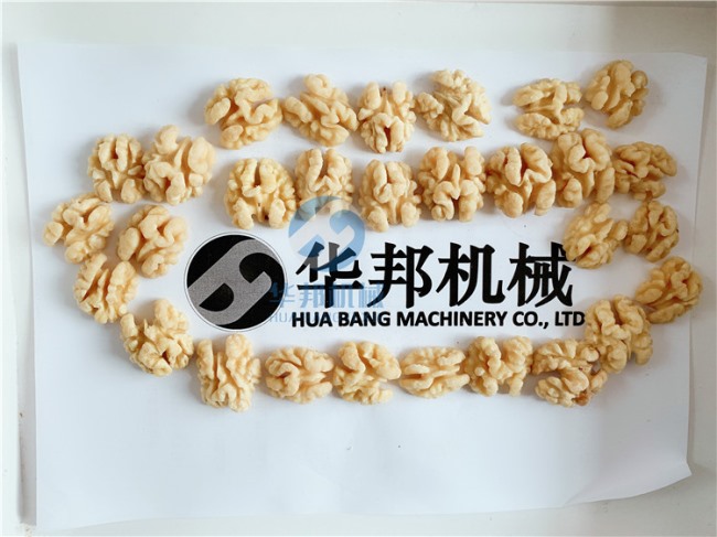 免費試機(jī) 核桃仁去皮