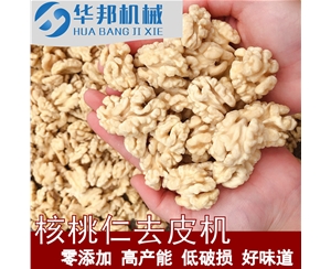 核桃仁去皮機 脫皮機