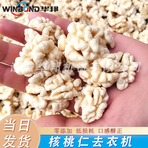 核桃仁去皮機(脫皮機)