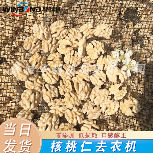 去皮核桃仁設備 每日堅果核桃仁去皮機