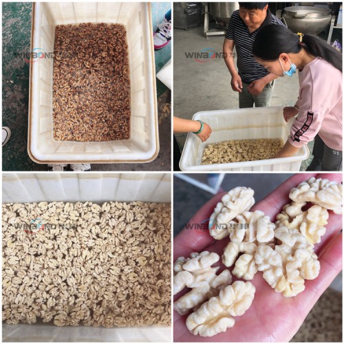 華邦核桃仁去皮 純物理核桃仁去皮清洗機(jī) 無(wú)污染