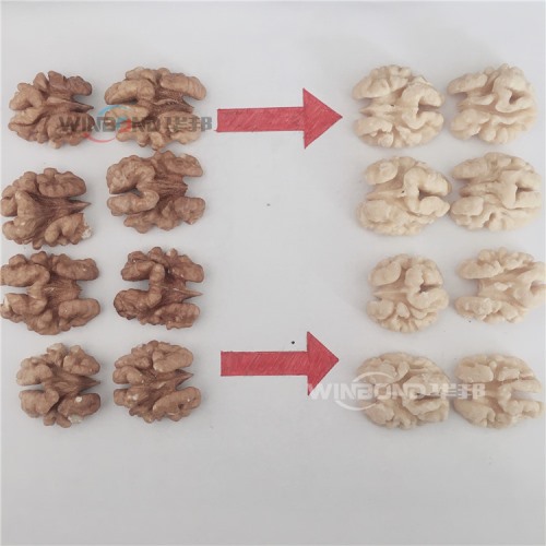 核桃仁去衣機(jī) 推薦華邦核桃仁去衣設(shè)備全自動 省人工