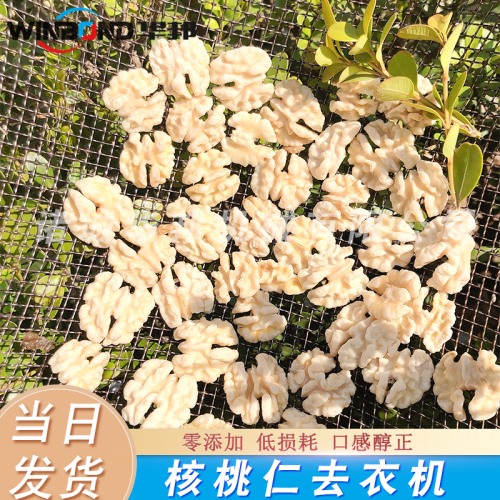 0防腐劑核桃仁去皮機 0添加人工色素 物理核桃仁脫皮機