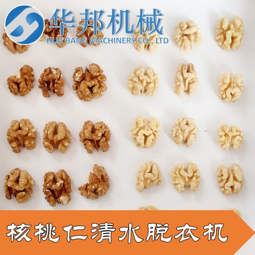 琥珀核桃仁去皮機 核桃仁剝皮機 質保兩年